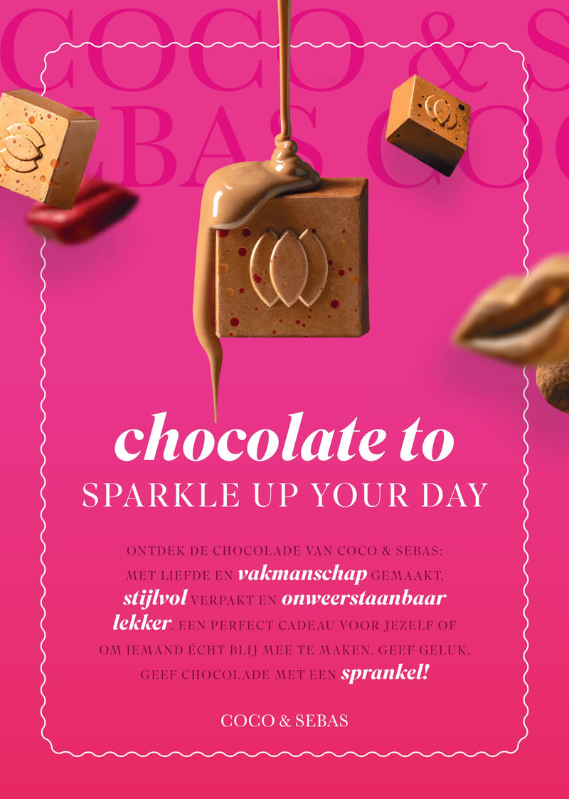 A5 POS Flyer Coco & Sebas